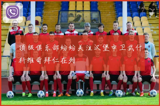 顶级俱乐部纷纷关注汉堡中卫武什科维奇拜仁在列