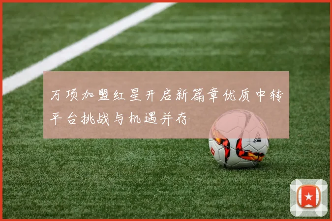 万项加盟红星开启新篇章优质中转平台挑战与机遇并存