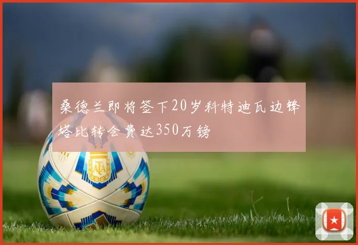 桑德兰即将签下20岁科特迪瓦边锋塔比转会费达350万镑