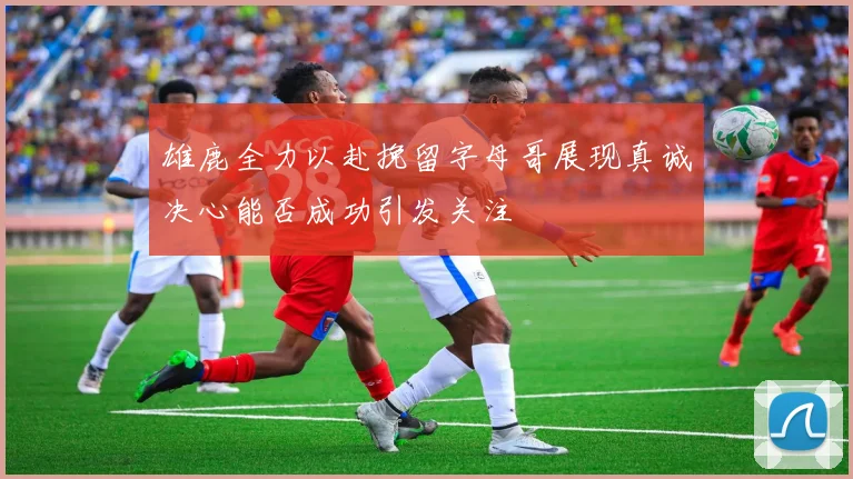 雄鹿全力以赴挽留字母哥展现真诚决心能否成功引发关注