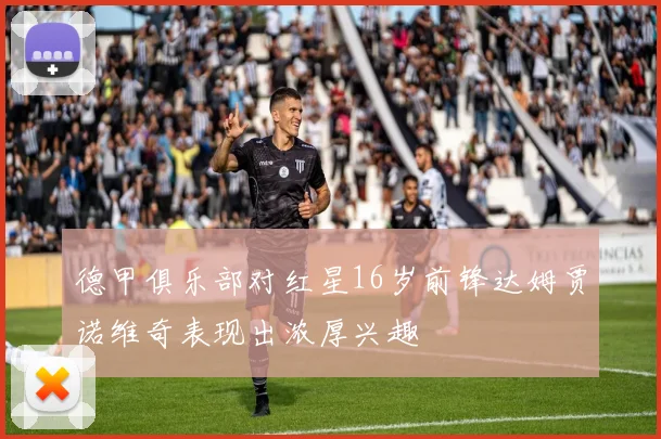 德甲俱乐部对红星16岁前锋达姆贾诺维奇表现出浓厚兴趣
